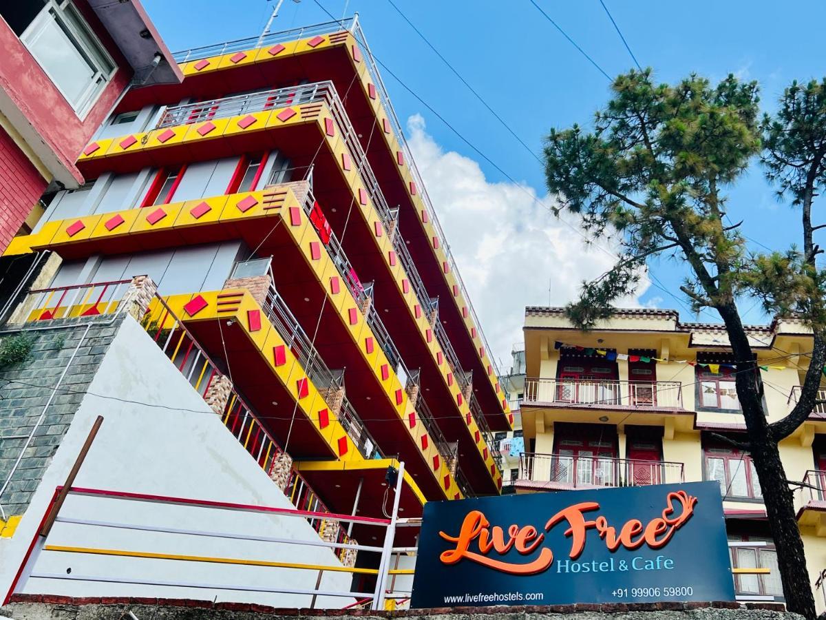Live Free Hostel, Mcleodganj McLeod Gandzs Kültér fotó
