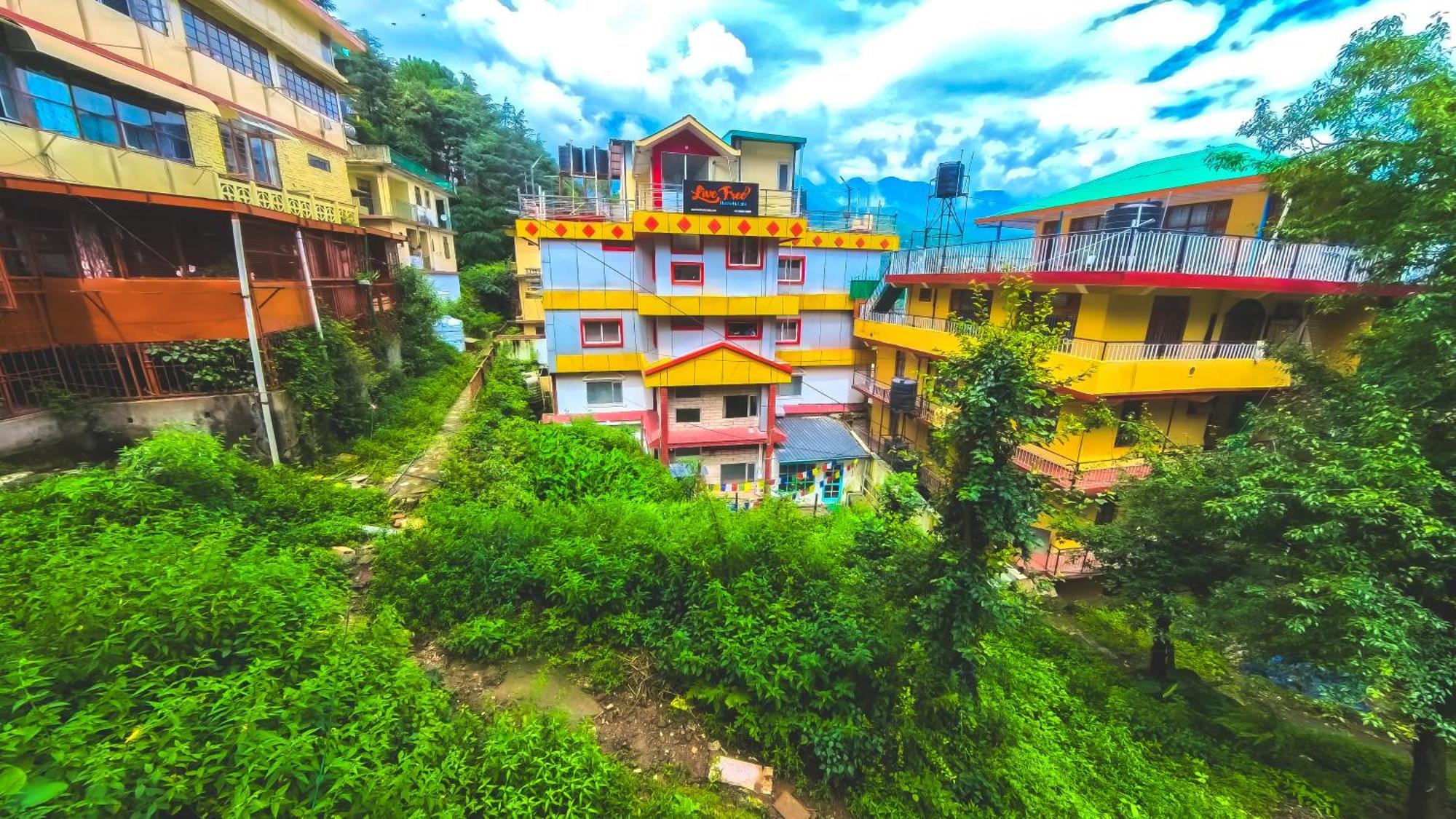 Live Free Hostel, Mcleodganj McLeod Gandzs Kültér fotó
